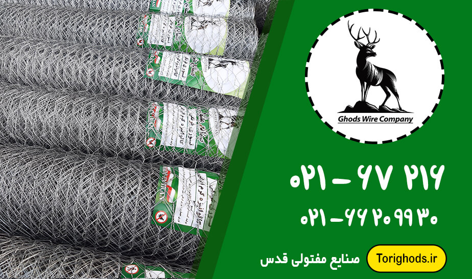 توری فرنگی