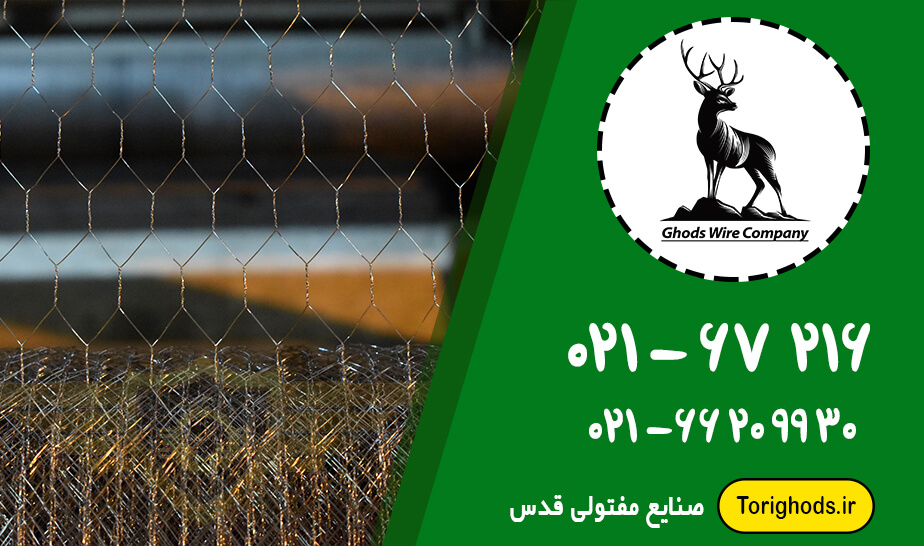 توری مرغی