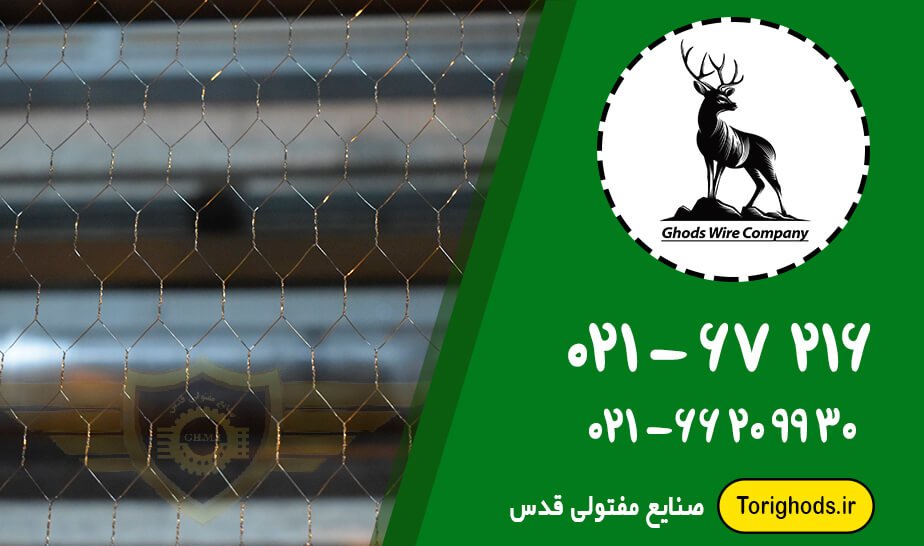 خرید توری مرغی