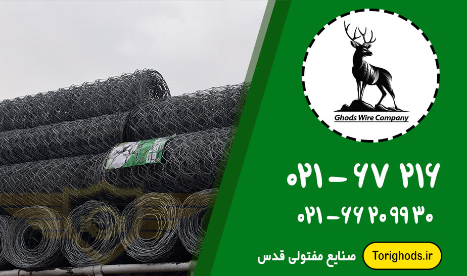 گابیون