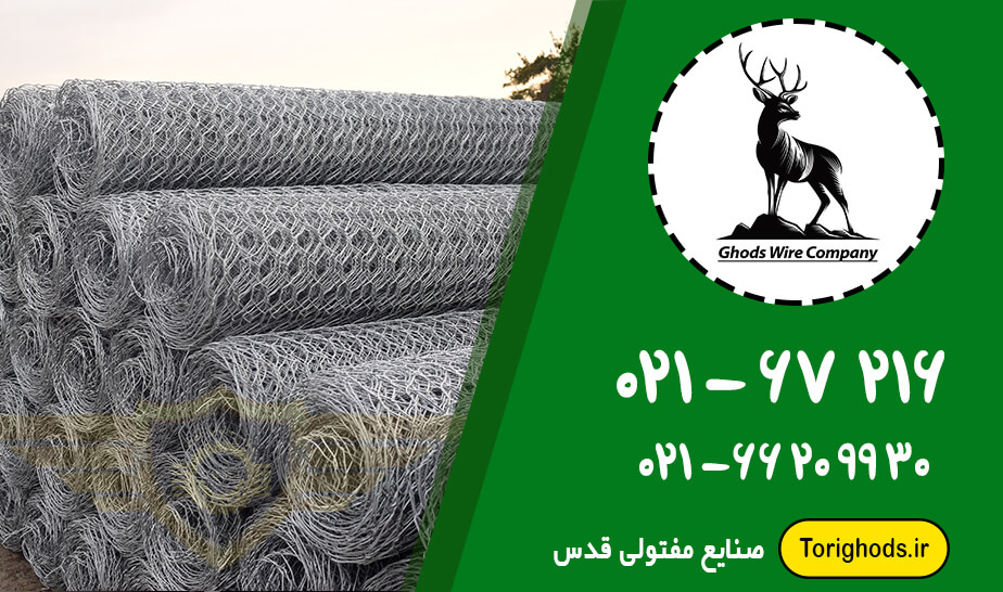 توری سنگی