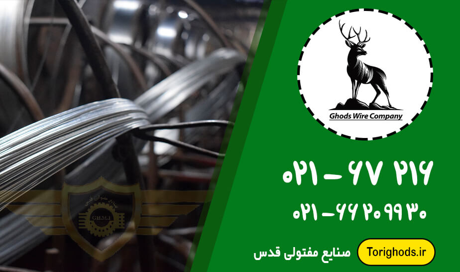 مفتول